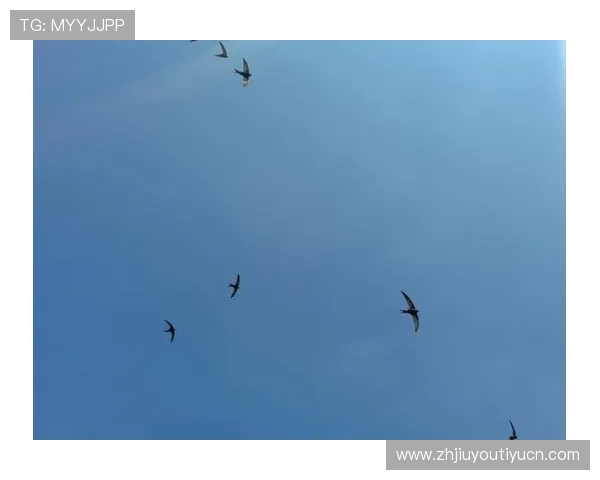 J9游会下载遇到问题怎么办？常见故障排查与解决方案指南