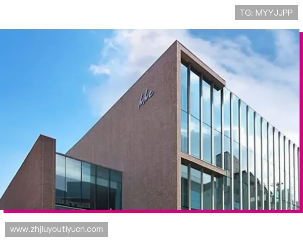 J9九游国际首页多语言支持满足不同地区玩家的使用需求